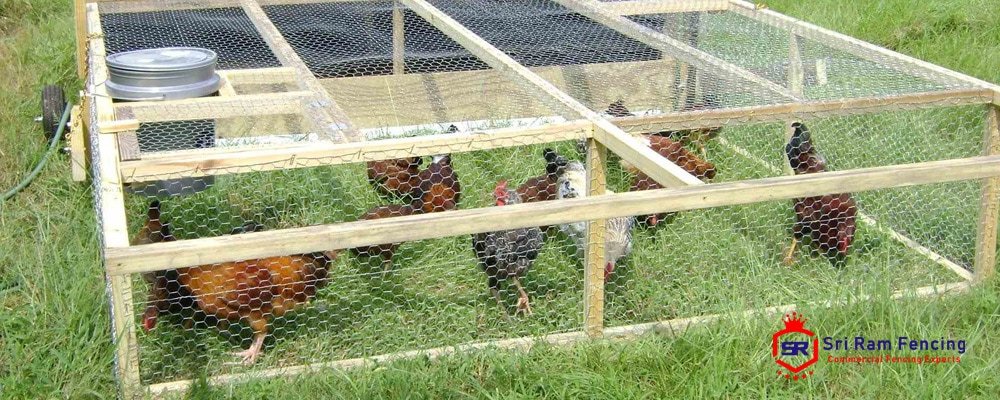 Chicken Hexagonal Fencing Products in Coimbatore, Tamil Nadu - Sriram Fencing