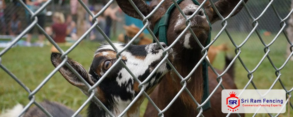 Poultry Fencing Contractor Coimbatore, Tami Nadu - Sriram Fencing